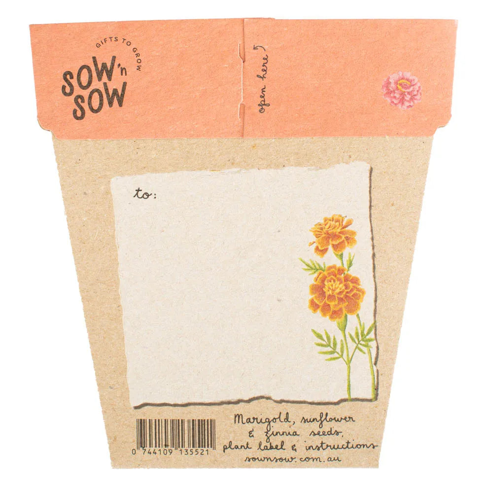 Secret Garden Gift of Seeds