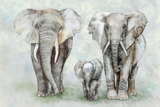 elephant family