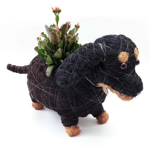 DACHSHUND DOG PLANTER - COCO PLANTER