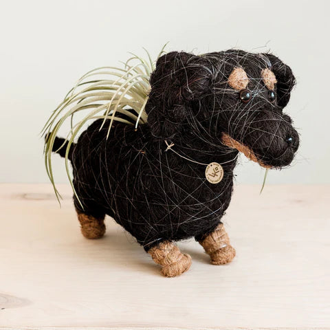 DACHSHUND DOG PLANTER - COCO PLANTER