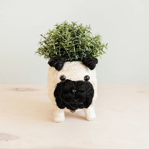 PUG PLANTER - COCO COIR POTS