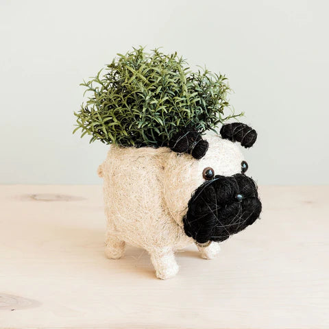 PUG PLANTER - COCO COIR POTS