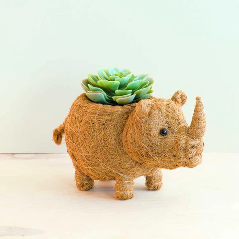 RHINO PLANTER - COCO COIR PO