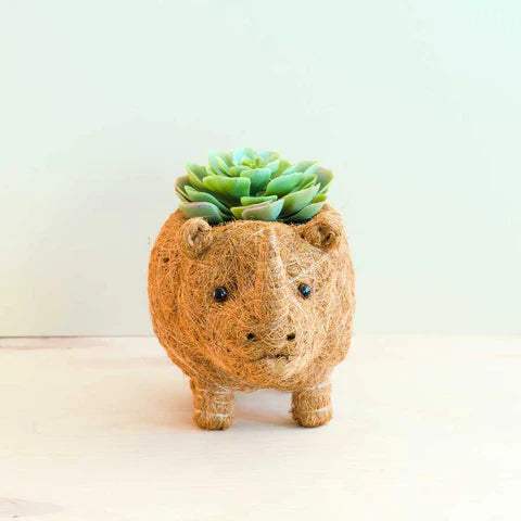 RHINO PLANTER - COCO COIR PO